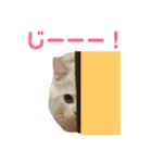 ふわふわねこにゃん♪おはよう❤️（個別スタンプ：34）