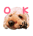 リロand茶々丸（個別スタンプ：2）