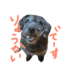 リロand茶々丸（個別スタンプ：3）