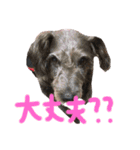リロand茶々丸（個別スタンプ：4）
