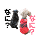 リロand茶々丸（個別スタンプ：5）