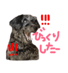 リロand茶々丸（個別スタンプ：13）