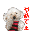 リロand茶々丸（個別スタンプ：15）