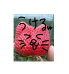 いちごねこ。（個別スタンプ：2）