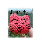 いちごねこ。（個別スタンプ：3）
