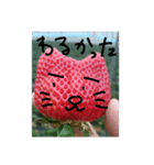 いちごねこ。（個別スタンプ：6）