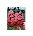 いちごねこ。（個別スタンプ：7）