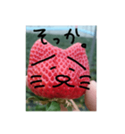 いちごねこ。（個別スタンプ：8）