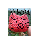 いちごねこ。（個別スタンプ：10）