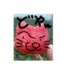 いちごねこ。（個別スタンプ：11）