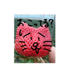 いちごねこ。（個別スタンプ：13）