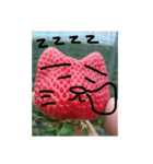 いちごねこ。（個別スタンプ：15）
