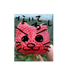 いちごねこ。（個別スタンプ：16）