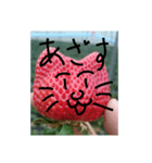 いちごねこ。（個別スタンプ：22）