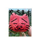 いちごねこ。（個別スタンプ：23）