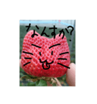 いちごねこ。（個別スタンプ：24）