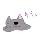 猫との生活は楽しい！（個別スタンプ：3）