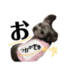 ふく10歳（個別スタンプ：7）
