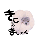 ふく10歳（個別スタンプ：14）