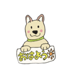 犬のぷるたくん(日常 3)元祖版（個別スタンプ：1）