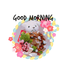 フラワーワークス（個別スタンプ：1）