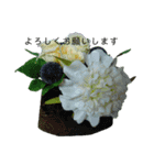 フラワーワークス（個別スタンプ：6）