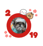 愛犬ですよ（個別スタンプ：2）