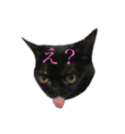 黒猫たるみ2（個別スタンプ：1）