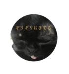 黒猫たるみ2（個別スタンプ：2）