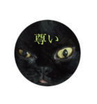 黒猫たるみ2（個別スタンプ：3）