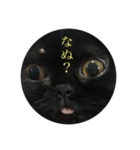 黒猫たるみ2（個別スタンプ：4）
