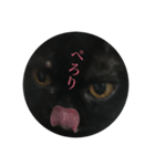 黒猫たるみ2（個別スタンプ：5）