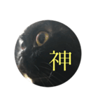 黒猫たるみ2（個別スタンプ：6）