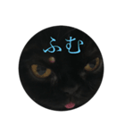 黒猫たるみ2（個別スタンプ：9）