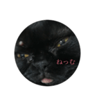 黒猫たるみ2（個別スタンプ：10）