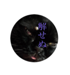 黒猫たるみ2（個別スタンプ：11）