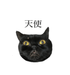 黒猫たるみ2（個別スタンプ：12）