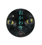 黒猫たるみ2（個別スタンプ：14）