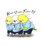 #いんこなスタンプ。from #いんこな日々。（個別スタンプ：12）