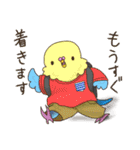 #いんこなスタンプ。from #いんこな日々。（個別スタンプ：23）
