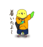 #いんこなスタンプ。from #いんこな日々。（個別スタンプ：24）