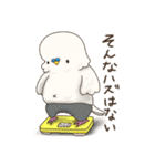#いんこなスタンプ。from #いんこな日々。（個別スタンプ：30）