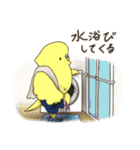 #いんこなスタンプ。from #いんこな日々。（個別スタンプ：36）
