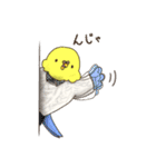 #いんこなスタンプ。from #いんこな日々。（個別スタンプ：40）
