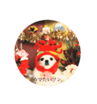 犬なのにとまと。（個別スタンプ：1）