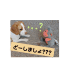 ビーグル ♡メル♡（個別スタンプ：26）