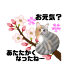 三毛猫さん 春ver.（個別スタンプ：2）