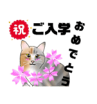 三毛猫さん 春ver.（個別スタンプ：3）