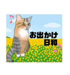三毛猫さん 春ver.（個別スタンプ：5）