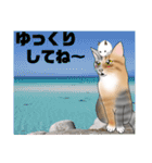 三毛猫さん 春ver.（個別スタンプ：8）